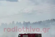 Φωτιά στη Θήβα – Σηκώθηκαν 2 αεροσκάφη και 1 ελικόπτερο