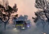 Σύλληψη δημάρχου για τη φωτιά στη Βοιωτία: «Στη δικαιοσύνη δεν χωρούν Ιφιγένειες» – Η απάντηση του δικηγόρου του