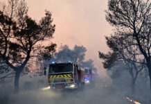 Σύλληψη δημάρχου για τη φωτιά στη Βοιωτία: «Στη δικαιοσύνη δεν χωρούν Ιφιγένειες» – Η απάντηση του δικηγόρου του