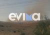 Εύβοια: Συναγερμός στην Πυροσβεστική για δύο πυρκαγιές