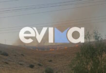 Εύβοια: Συναγερμός στην Πυροσβεστική για δύο πυρκαγιές