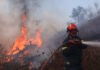 Φωτιά στη Χαλκιδική: Μάχη των πυροσβεστών με διάσπαρτες εστίες στη Σίβηρη – Βελτιωμένη η εικόνα, απομακρύνθηκαν 481 κάτοικοι
