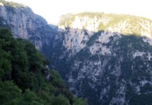Θεσπρωτία: Νεκρός 20χρονος τουρίστας από τη Χιλή σε χαράδρα στα ελληνοαλβανικά σύνορα