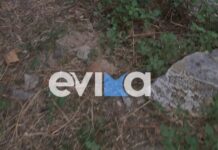 Εύβοια: Χειροβομβίδα του Β΄ Παγκοσμίου Πολέμου βρέθηκε σε παλιά αποθήκη