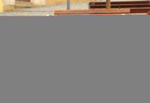Συμπεριφορά σκύλων: Πώς ξεχωρίζουμε το παιχνίδι από τον καβγά