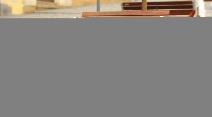 Συμπεριφορά σκύλων: Πώς ξεχωρίζουμε το παιχνίδι από τον καβγά