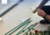 ΑΑΔΕ – Επιχείρηση «Τα άνθη του κακού»: Κύκλωμα έκρυβε 84 κιλά κοκαΐνης μέσα σε τριαντάφυλλα
