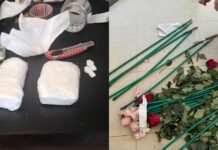 ΑΑΔΕ: Κοκαΐνη 84 κιλών σε φορτίο με τριαντάφυλλα στην επιχείριση «Τα άνθη του κακού» – Έξι συλλήψεις