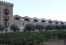 Achaia Clauss: Άνοιξε τις πύλες του για τον «Ανοιχτό Τρύγο» 14 ημέρες μετά την φωτιά – Το άλογο και το πρώτο γλυκό κρασί