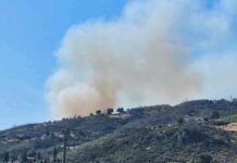 Φωτιά στη Δροσοπηγή: Μεγάλη κινητοποίηση της πυροσβεστικής – Εναέρια μέσα παλεύουν με τις φλόγες