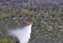 Τέσσερις συλλήψεις για φωτιές από αμέλεια – Ανάμεσά τους 80χρονη που άναψε καντήλι σε νεκροταφείο