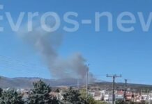 Φωτιά στην Αλεξανδρούπολη κοντά στην Εγνατία: Επιχειρούν εναέρια μέσα