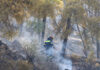 Φωτιά στο Άλσος Γαλατσίου: Μεγάλη κινητοποίηση της πυροσβεστικής
