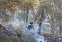 Φωτιά στο Άλσος Γαλατσίου: Μεγάλη κινητοποίηση της πυροσβεστικής