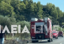 Φωτιές στη νότια Ηλεία: Μεγάλη κινητοποίηση της πυροσβεστικής σε Κάτω Σαμικό και Αγρίδι