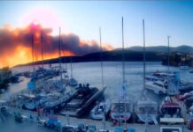 Σκύρο: Ταυτοποιήθηκε άνδρας για τη φωτιά στη Χάρτσα – Ύποπτος και για την μεγάλη πυρκαγιά που έκαψε πάνω από 4.000 στρέμματα