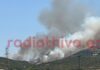 Φωτιά στον Μύτικα Θήβας σε χαμηλή βλάστηση: Στην «μάχη» 8 αεροσκάφη