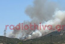 Φωτιά στον Μύτικα Θήβας σε χαμηλή βλάστηση: Στην «μάχη» 8 αεροσκάφη