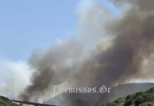Η φωτιά στον Μύτικα Θήβας ξεκίνησε από εργασίες καθαρισμού με καταστροφέα σε φωτοβολταϊκό πάρκο – Δύο συλλήψεις