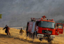 Σαρωνίδα: Συνελήφθη 38χρονη για τη φωτιά που ξεκίνησε από αυτοκίνητο – Πάνω από 1,2 εκατ. ευρώ τα πρόστιμα για πυρκαγιές