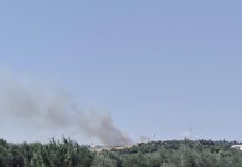 Φωτιά στη Χαλκίδα: Καίει σε αγροτική έκταση στο Καλοχώρι, σηκώθηκαν 5 εναέρια