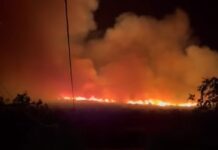Φωτιά στην Κρυσταλλοπηγή Φλώρινας – Ήχησε το 112