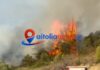 Φωτιά στο Μεσολόγγι στο πεδίο βολής – Ισχυρές δυνάμεις στο σημείο