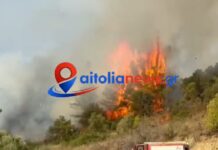 Φωτιά στο Μεσολόγγι στο πεδίο βολής – Ισχυρές δυνάμεις στο σημείο