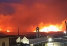 Φωτιά στη Σητεία: Ολονύχτια μάχη με τις φλόγες, εκκενώθηκαν 6 οικισμοί – Βίντεο από την πύρινη καταστροφή
