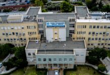 Νοσοκομείο Νίκαιας: Καταγγελία εργαζομένων για ποντίκια στη μονάδα νεογνών και σοβαρά κτιριακά προβλήματα