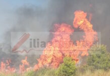 Φωτιά στα Διάσελλα Ηλείας: Οι φλόγες απείλησαν σπίτια, σηκώθηκαν 6 αεροσκάφη