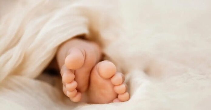 istock-moro-1200x675-1-1200x630.jpg