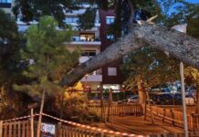 Θεσσαλονίκη: Δέντρο έπεσε και τραυμάτισε μητέρα και τον 17 μηνών γιο της σε παιδική χαρά στην Καλαμαριά