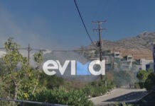 Φωτιά στην Κάρυστο: Μήνυμα του 112 για ετοιμότητα – Σηκώθηκαν 4 αεροσκάφη και 2 ελικόπτερα