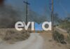 Φωτιά στην Κάρυστο: 112 για εκκένωση τριών περιοχών, επιχειρούν 13 αεροσκάφη