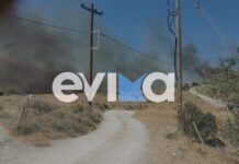 Φωτιά στην Κάρυστο: 112 για εκκένωση τριών περιοχών, επιχειρούν 13 αεροσκάφη