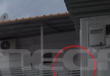 Κινηματογραφική καταδίωξη 24χρονου στην Δυτική Αττική: Καρέ – καρέ η σύλληψη αρχηγικού μέλους εγκληματικής οργάνωσης