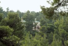 Καταπατημένα… στα αζήτητα: Τι δείχνουν τα τελευταία στοιχεία για τις αιτήσεις