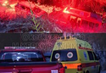 Τροχαίο με γουρούνα στην Κέρκυρα: Τραυματίστηκαν σοβαρά δύο τουρίστες