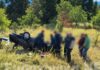 Ευρυτανία: Νεκρός 65χρονος κυνηγός σε τροχαίο – Το αυτοκίνητο τούμπαρε σε χαντάκι 80 μέτρα από τον δρόμο
