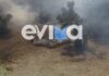 Φωτιά στην Κύμη Ευβοίας: Συνελήφθη 55χρονος για εμπρησμό – Αφέθηκε ελεύθερος