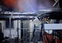 Τραγωδία στη Φθιώτιδα: Νεκρή 32χρονη μαζί με το σκυλάκι από αναθυμιάσεις μετά από φωτιά στο σπίτι της