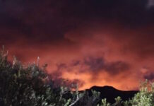 Φωτιά στο Λασίθι στην περιοχή Χώνος: Νέα 112 για εκκένωση προς Ξερόκαμπο και Παλαίκαστρο – Βίντεο