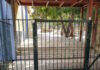 Άνω Λιόσια: Η νηπιαγωγός δέχθηκε επίθεση και τραυματίστηκε, λέει η διεύθυνση πρωτοβάθμιας εκπαίδευσης Αττικής