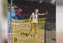 Άνω Λιόσια: Η διευθύντρια του νηπιαγωγείου που ούρλιαζε στα παιδιά κατάθεσε μήνυση σε γονείς – Συνελήφθη μητέρα, αναζητείται ο σύζυγός της
