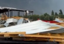 Κακοκαιρία στην Ήπειρο: Κτηνοτροφική μονάδα ισοπεδώθηκε από ανεμοστρόβιλο – Κεραυνός χτύπησε και σκότωσε 88 ζώα