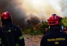 Φωτιά στη Δράμα στην περιοχή Πλατανιά: Επιχειρούν 4 αεροσκάφη