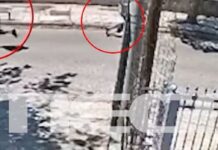Η στιγμή της επίθεσης από συμμορία νεαρών σε ηλικιωμένη για να την ληστέψουν – Βίντεο ντοκουμέντο