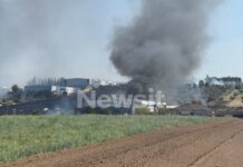 Φωτιά σε δασική έκταση στην Τανάγρα από την πτώση του Phantom: Ήχησε το 112, διακοπή κυκλοφορίας στον παράδρομο της Αθηνών-Λαμίας και στην Επαρχιακή Οδό Οινόης