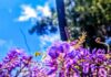 Καιρός αύριο: Ηλιοφάνεια και τοπικές βροχές